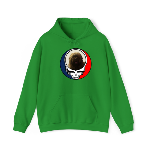 1461 - Custom Stealie Hoodie