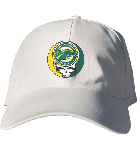 Skidmore Stealie Dad Hat