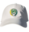 Skidmore Stealie Dad Hat