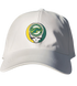Skidmore Stealie Dad Hat