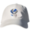 Georgia State Stealie Dad Hat