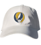 Notre Dame Stealie Dad Hat