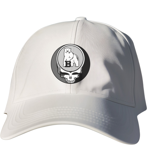 Bowdoin Stealie Dad Hat
