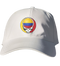 Colombia FIFA World Cup Stealie Dad Hat