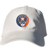 Astros Stealie Dad Hat