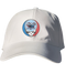 DePaul Stealie Dad Hat