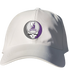 Scranton Stealie Dad Hat