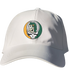 Baylor Stealie Dad Hat