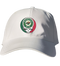Minnesota Wild Stealie Dad Hat