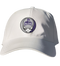Furman Stealie Dad Hat