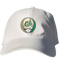 UNC Charlotte Stealie Dad Hat