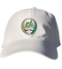 UNC Charlotte Stealie Dad Hat