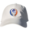 Boise State Stealie Dad Hat