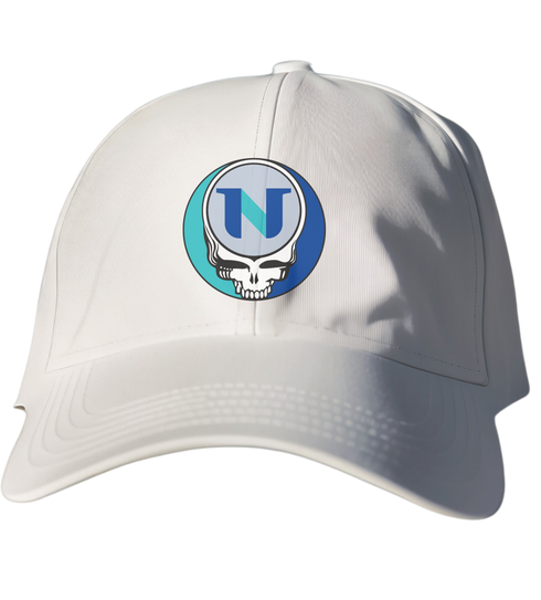National University Stealie Dad Hat