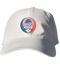 Boise State Stealie Dad Hat