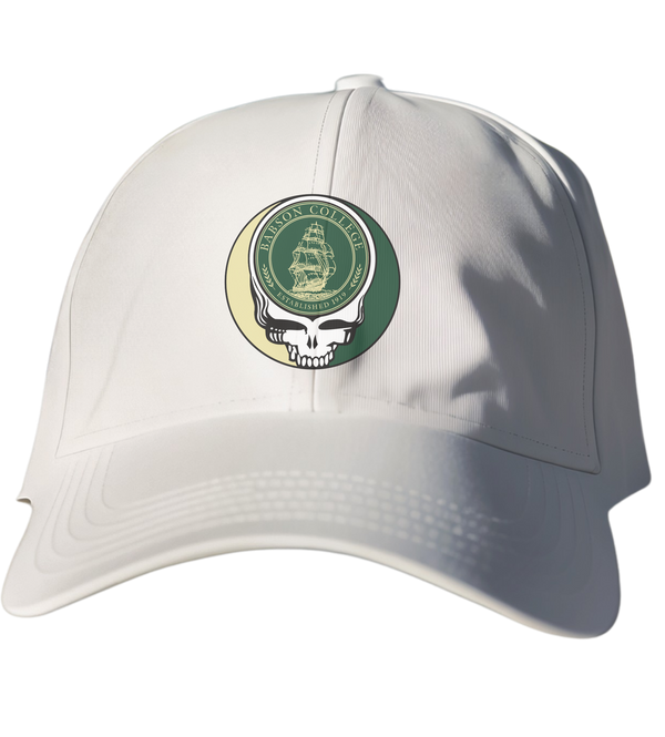 Babson Stealie Dad Hat