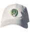 Babson Stealie Dad Hat