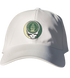 Babson Stealie Dad Hat