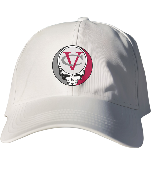 Vassar Stealie Dad Hat