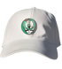 Boston Celtics Leprechaun Stealie Dad Hat