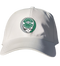 Babson Stealie Dad Hat