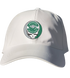 Babson Stealie Dad Hat