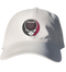 Albany Collegy of Pharmacy Stealie Dad Hat