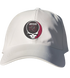 Albany Collegy of Pharmacy Stealie Dad Hat