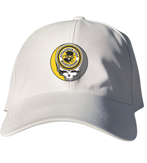 Appalachian State Stealie Dad Hat