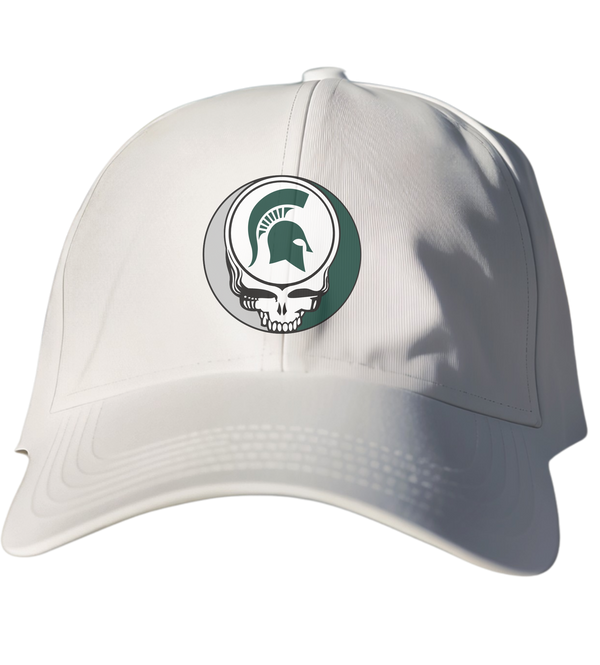 Michigan State Stealie Dad Hat