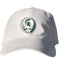 Michigan State Stealie Dad Hat