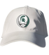 Michigan State Stealie Dad Hat