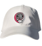 Toronto Raptors Stealie Dad Hat