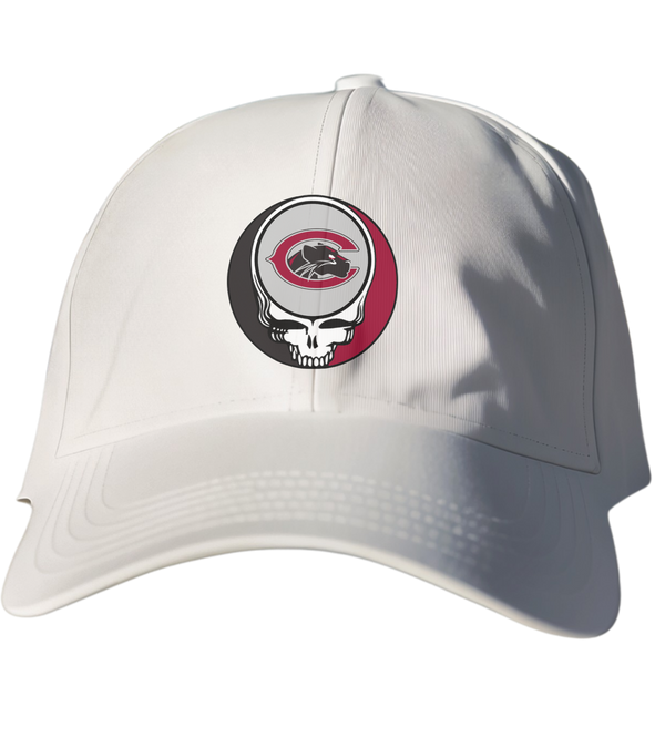 Chapman Stealie Dad Hat