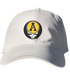 Appalachian State Stealie Dad Hat