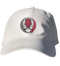 University of Arkansas Stealie Dad Hat