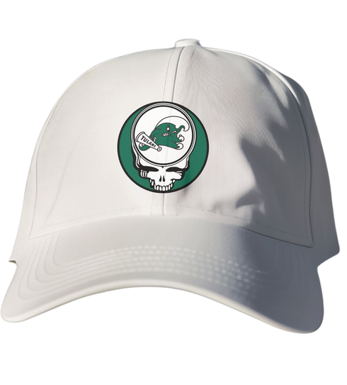 Tulane Stealie Dad Hat