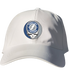 Tampa Bay Lightning Stealie Dad Hat