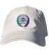 Charlotte Hornets Stealie Dad Hat