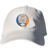 Illinois Stealie Dad Hat