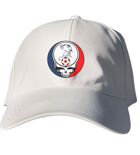 Depaul Billy Blue Stealie Dad Hat