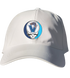 Villanova Stealie Dad Hat