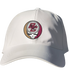 Boston College Stealie Dad Hat