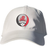 Dickinson Stealie Dad Hat