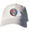 Minnesota Twins Crystal Stealie Stealie Dad Hat