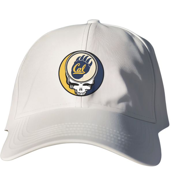 Cal Bear Paw Stealie Dad Hat