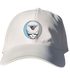 Maine Stealie Dad Hat
