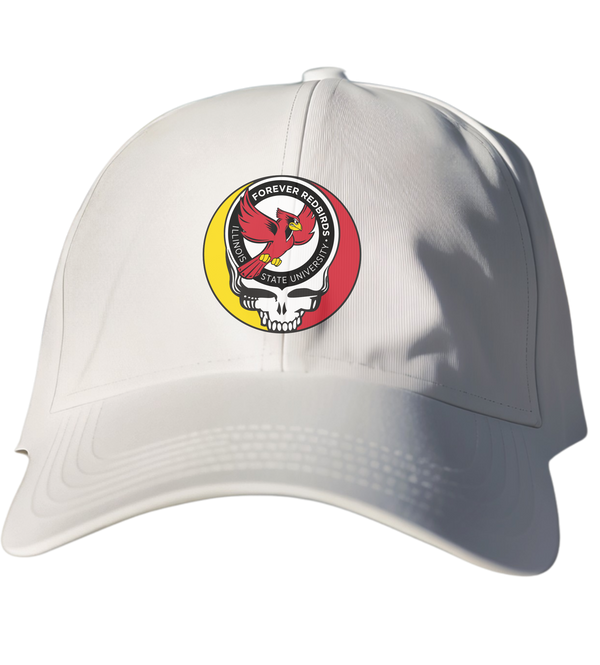 Illinois State Stealie Dad Hat
