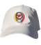 Illinois State Stealie Dad Hat
