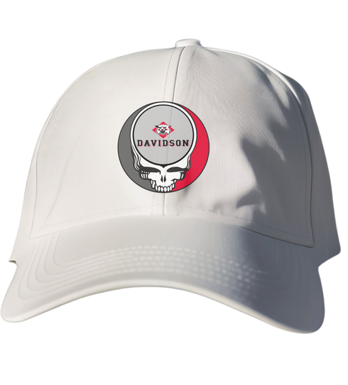 Davidson Stealie Dad Hat